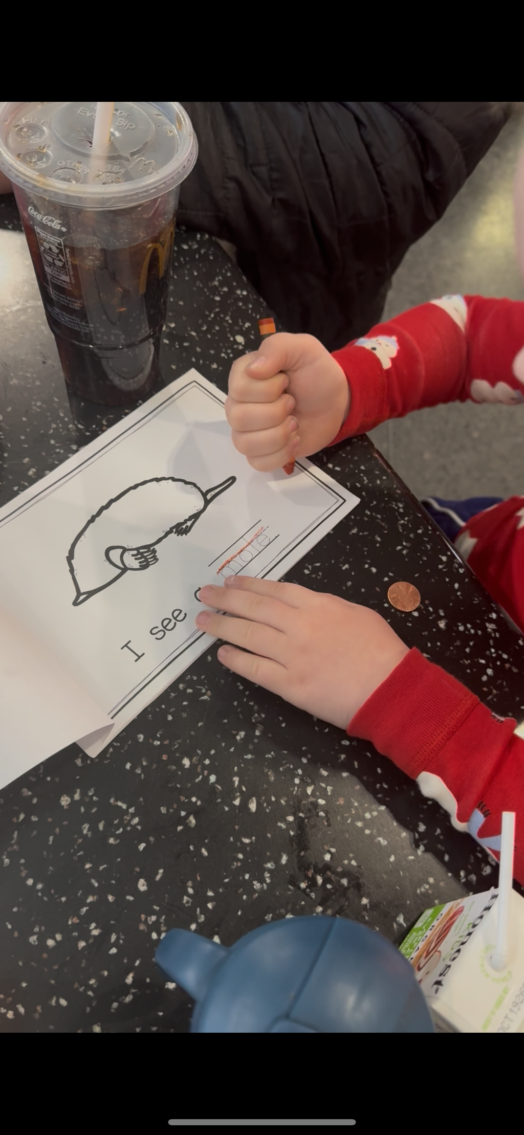 Winter book box lesson plans