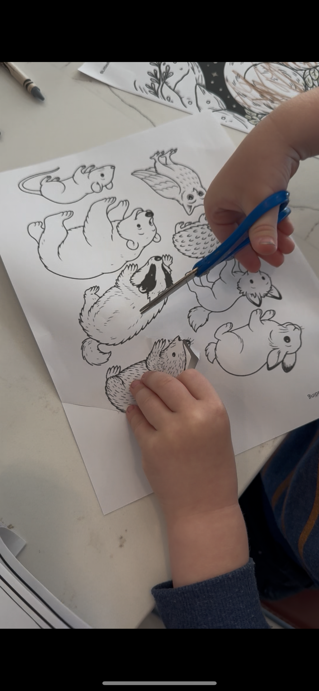 Winter book box lesson plans