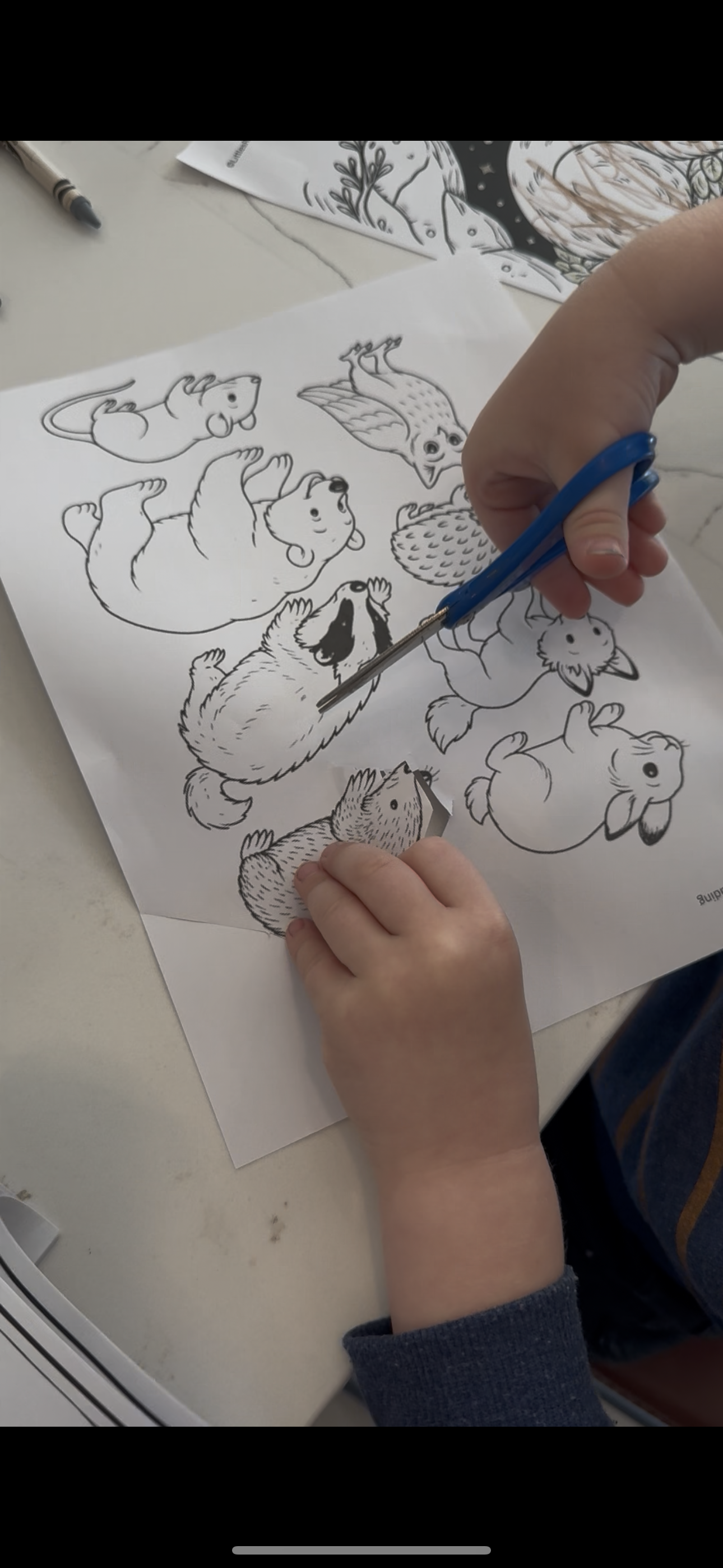 Winter book box lesson plans