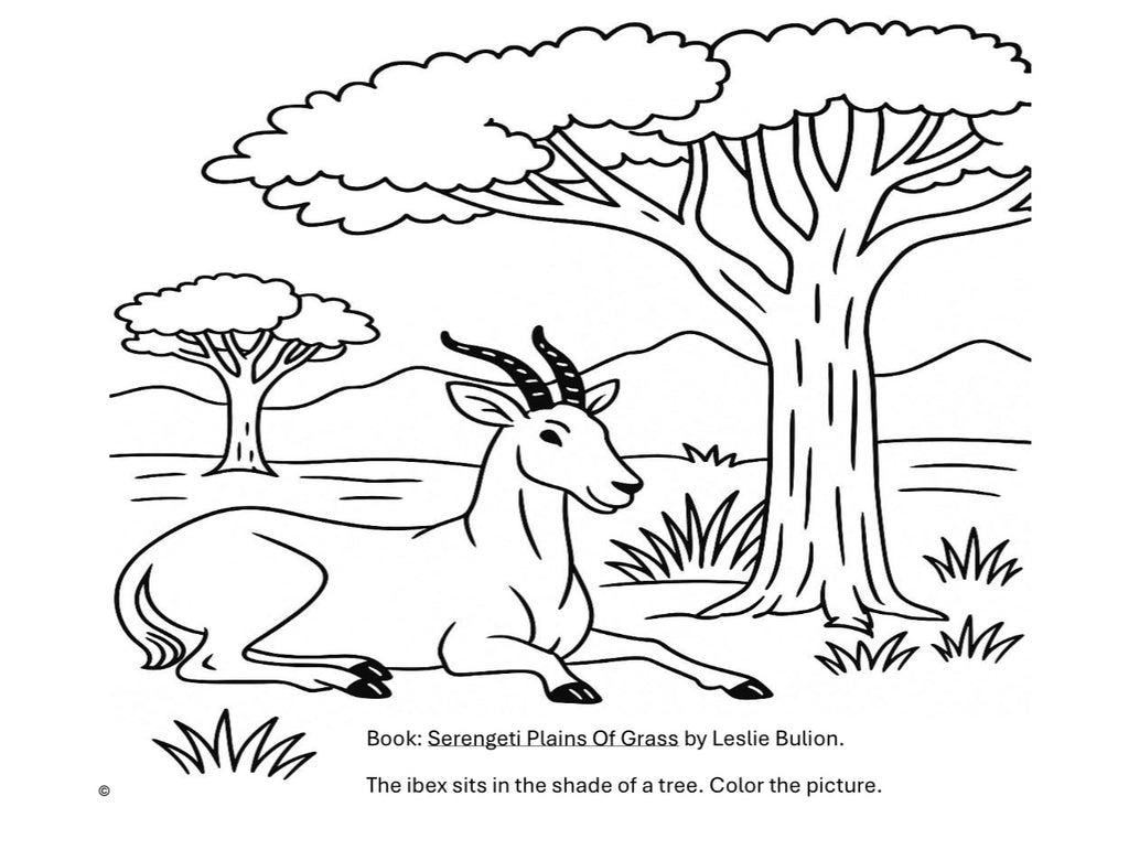 Emergent Reader Curriculum. Volume 1 Workbook