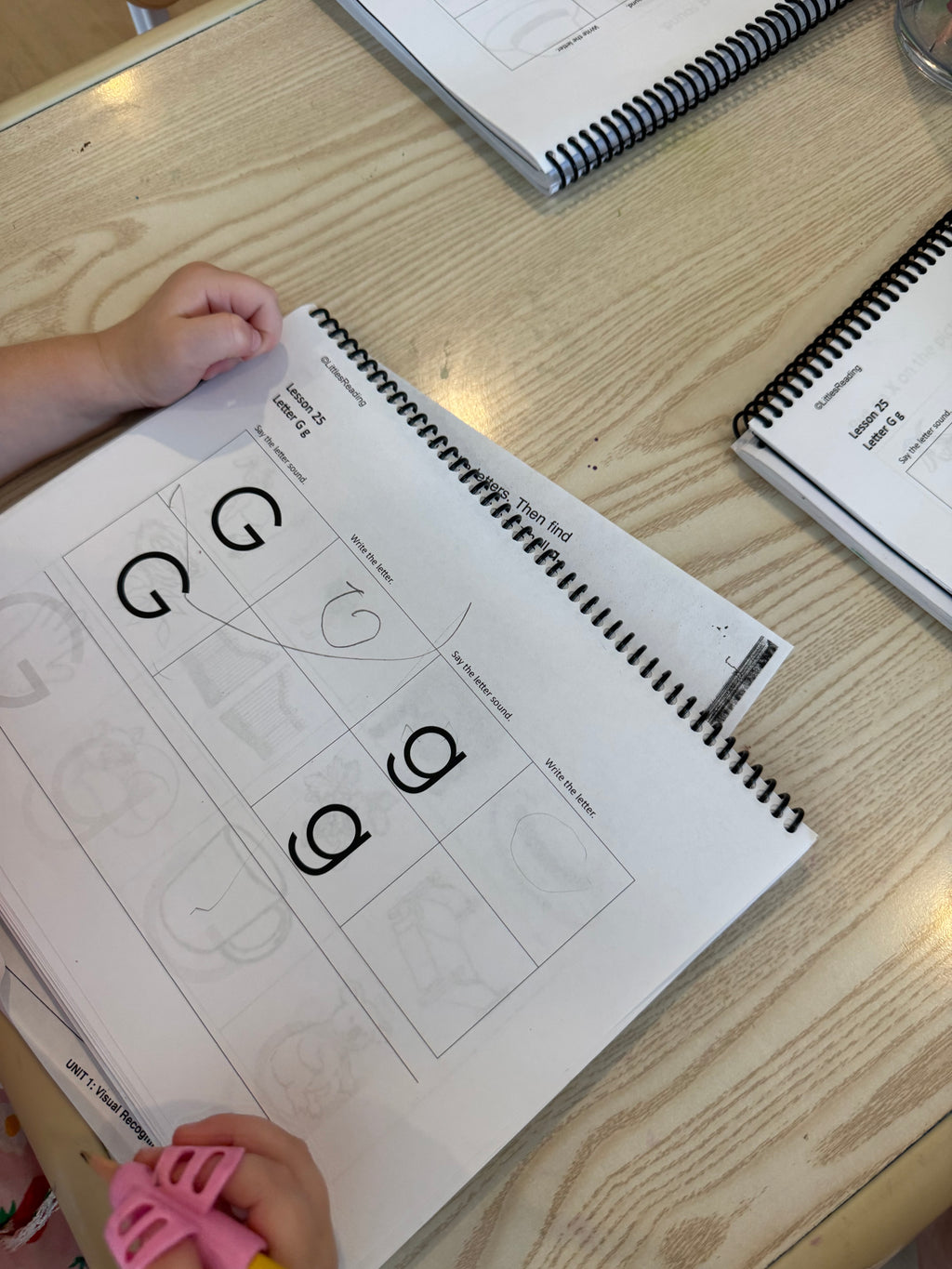 Advanced Preschooler Curriculum. Volume 1