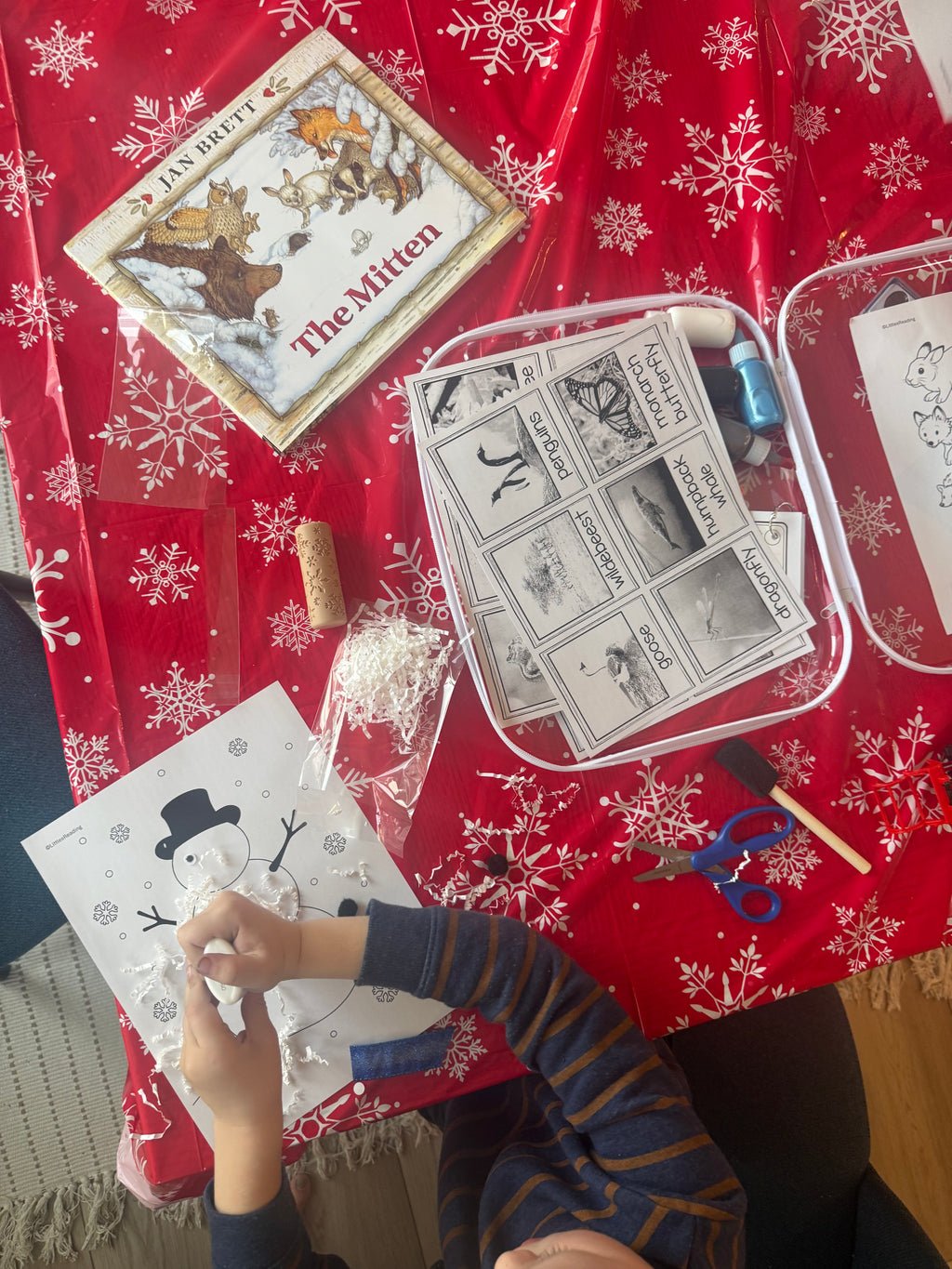 Winter Activity and Book Box