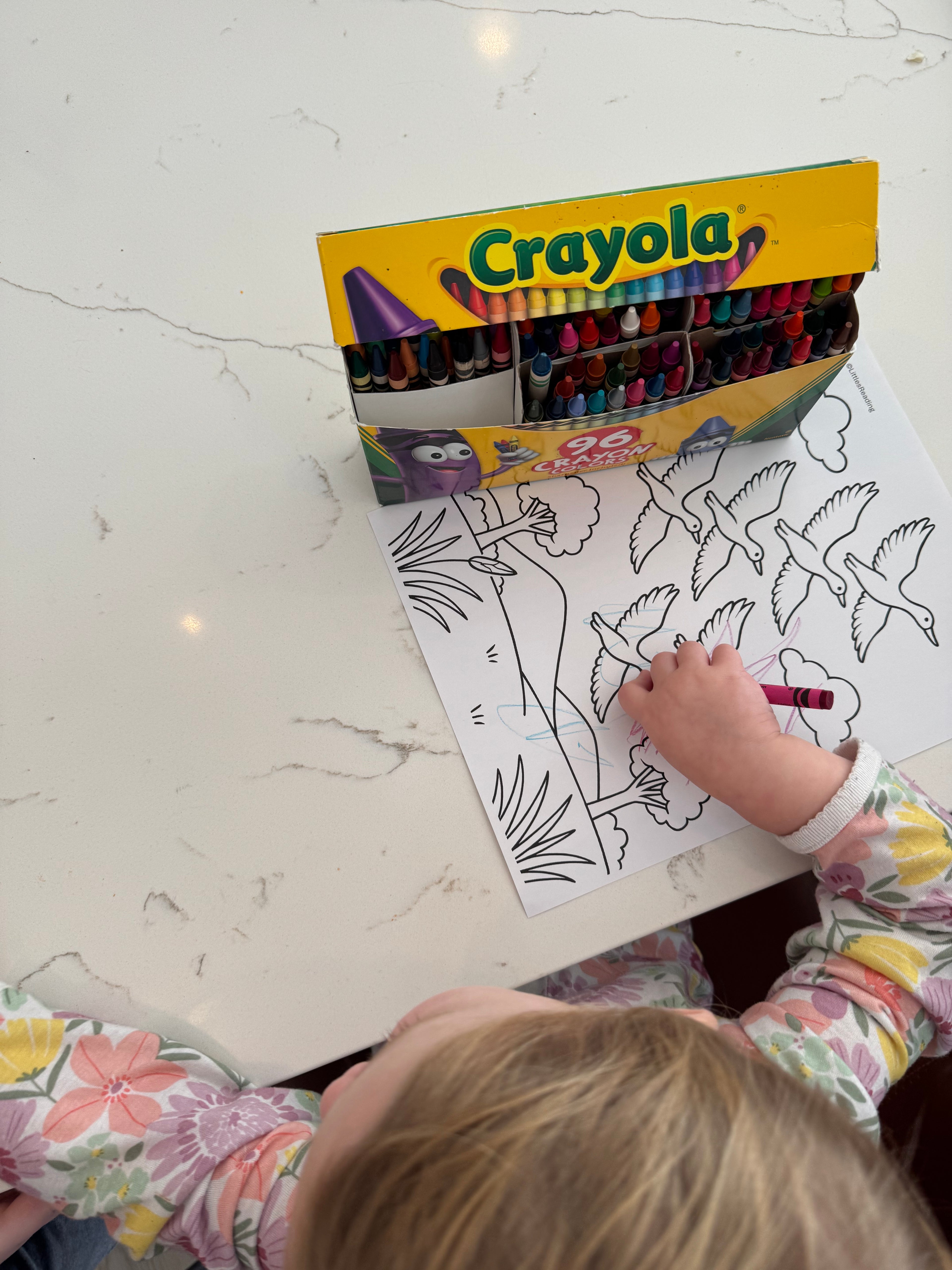 Winter book box lesson plans