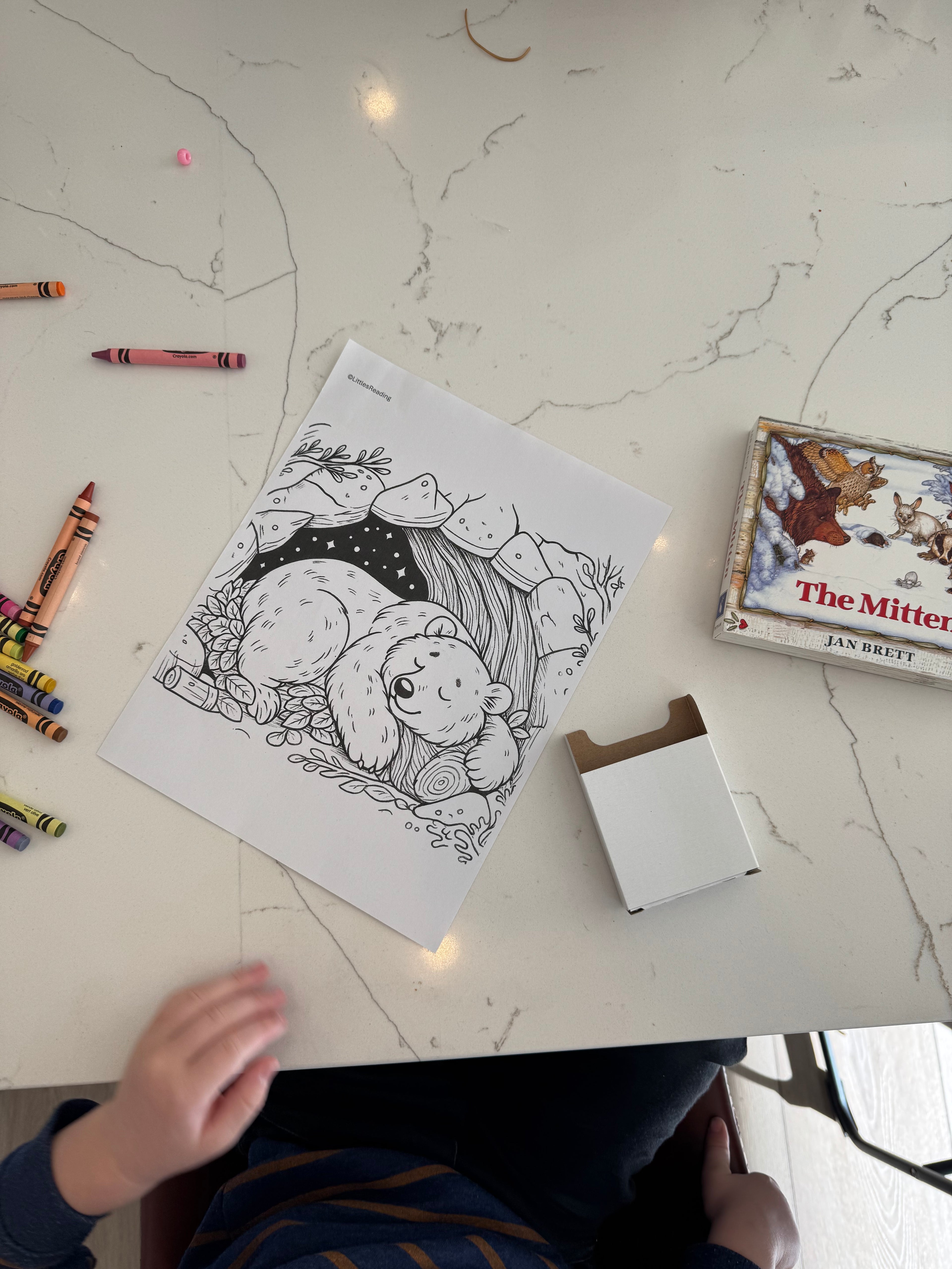 Winter book box lesson plans