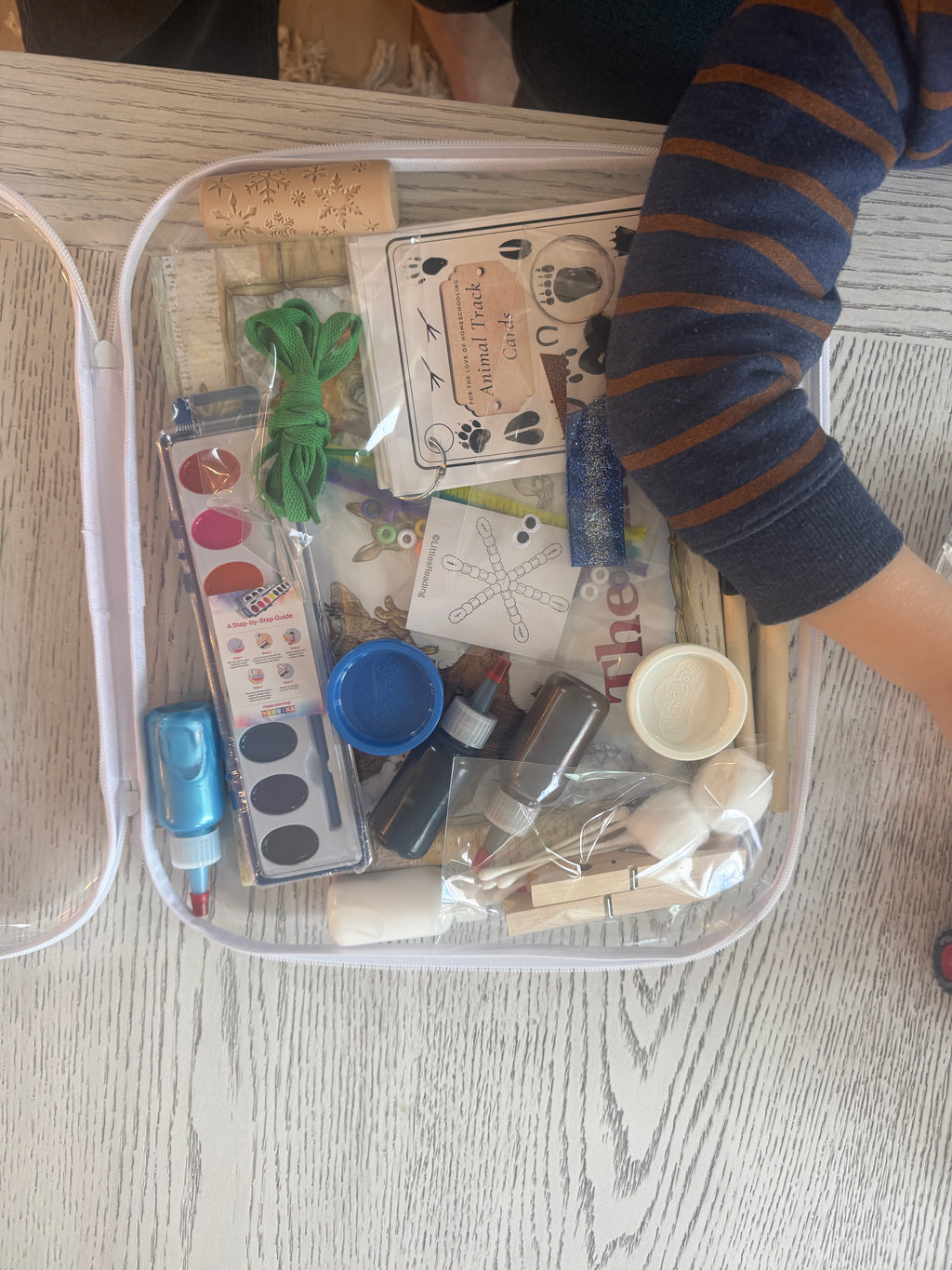 Winter Activity and Book Box