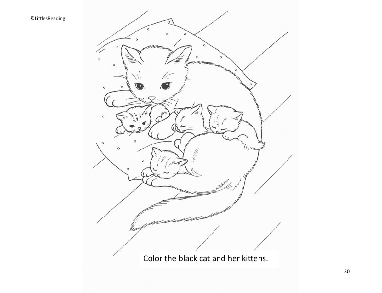 Mommy and Me 1.5-3YR Curriculum. Volume 4 Workbook