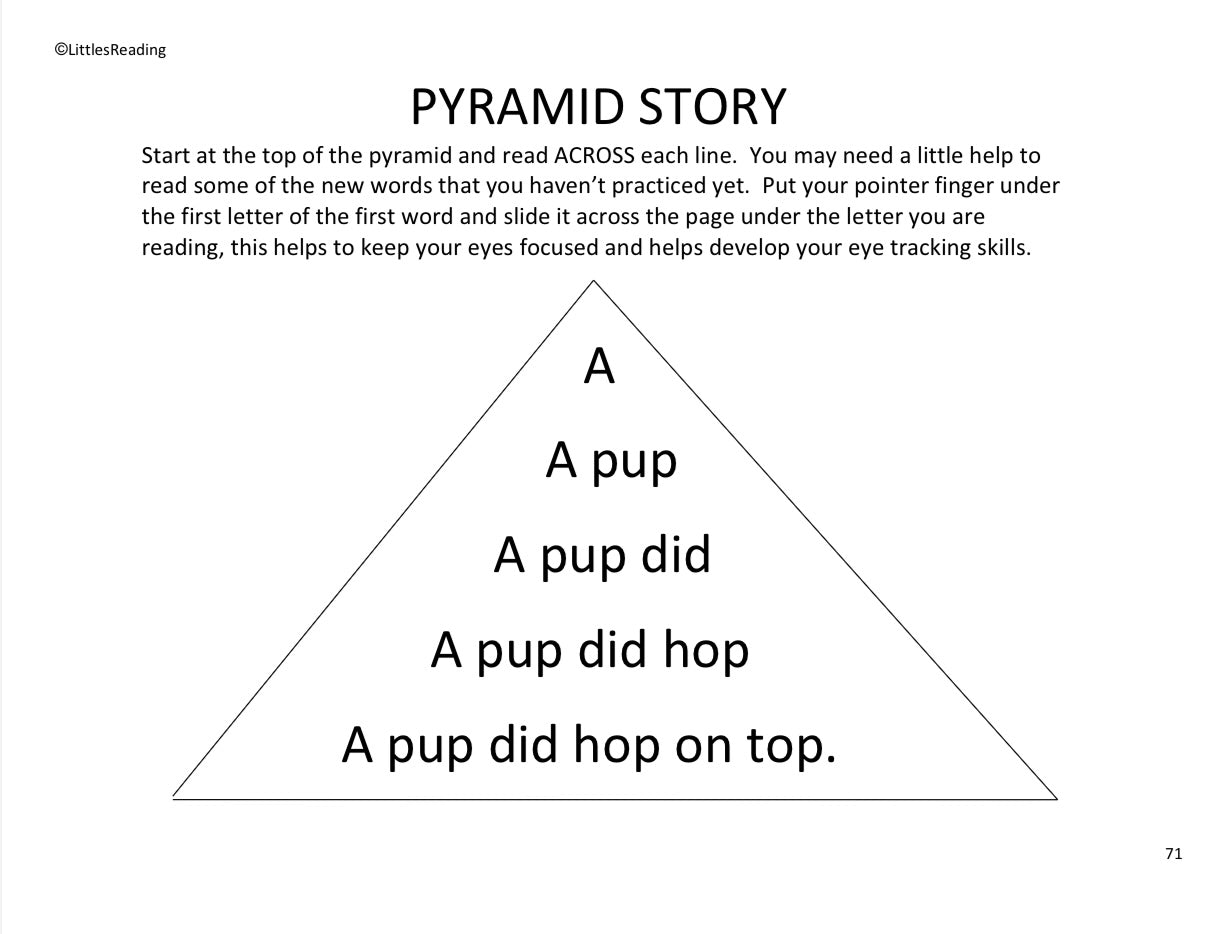 Advanced Preschooler Curriculum. Volume 2 Workbook