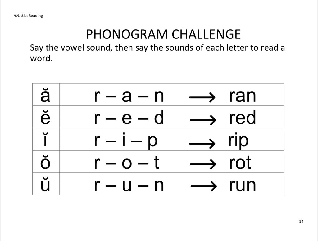 Advanced Preschooler Curriculum. Volume 2 Workbook
